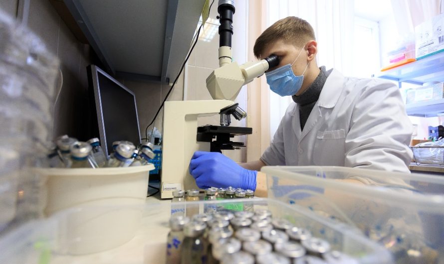 Штаммы бактерий без устойчивости к антибиотикам станут основой для сыров